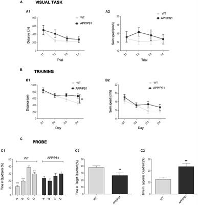 Plaque-Associated Oligomeric Amyloid-Beta Drives Early Synaptotoxicity in APP/PS1 Mice Hippocampus: Ultrastructural Pathology Analysis